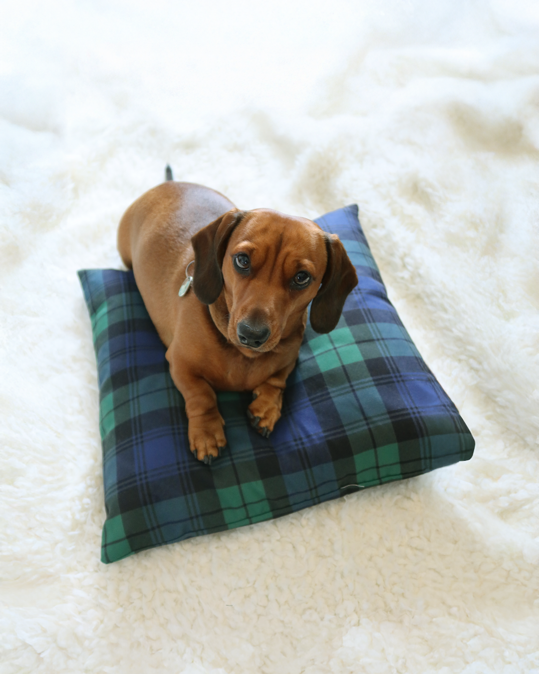 Cosy Tartan Bundle | Kelpie Tartan | Original Design