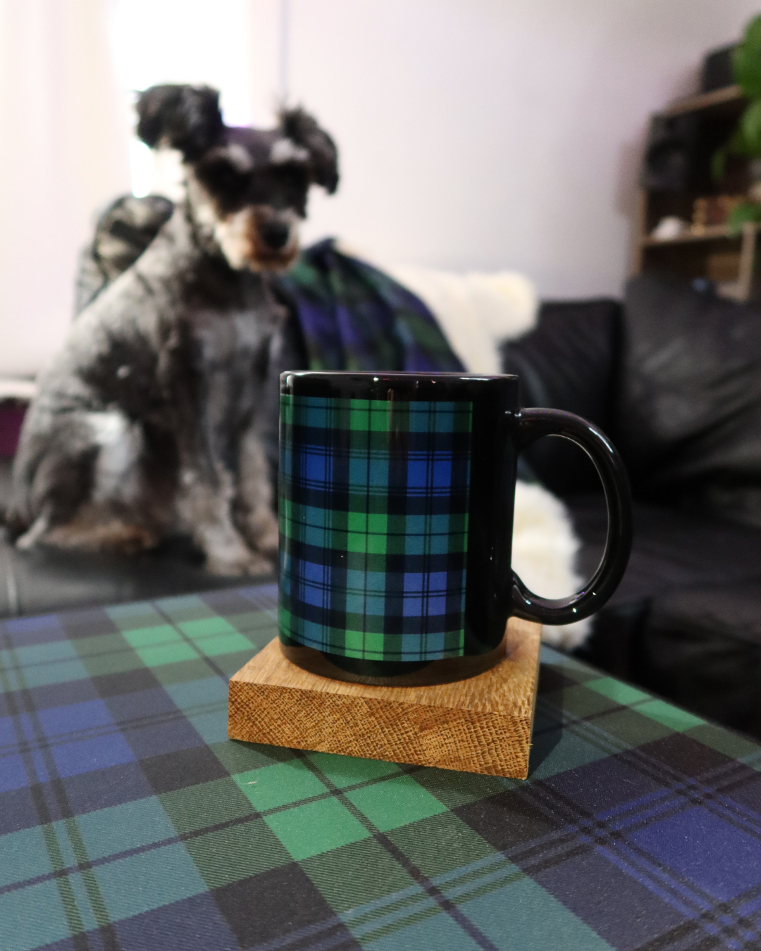 Cosy Tartan Bundle | Kelpie Tartan | Original Design